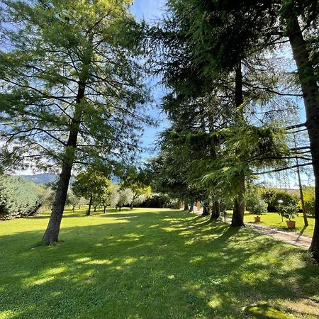 Secret Garden Egle Villa Caprino Veronese Eksteriør bilde