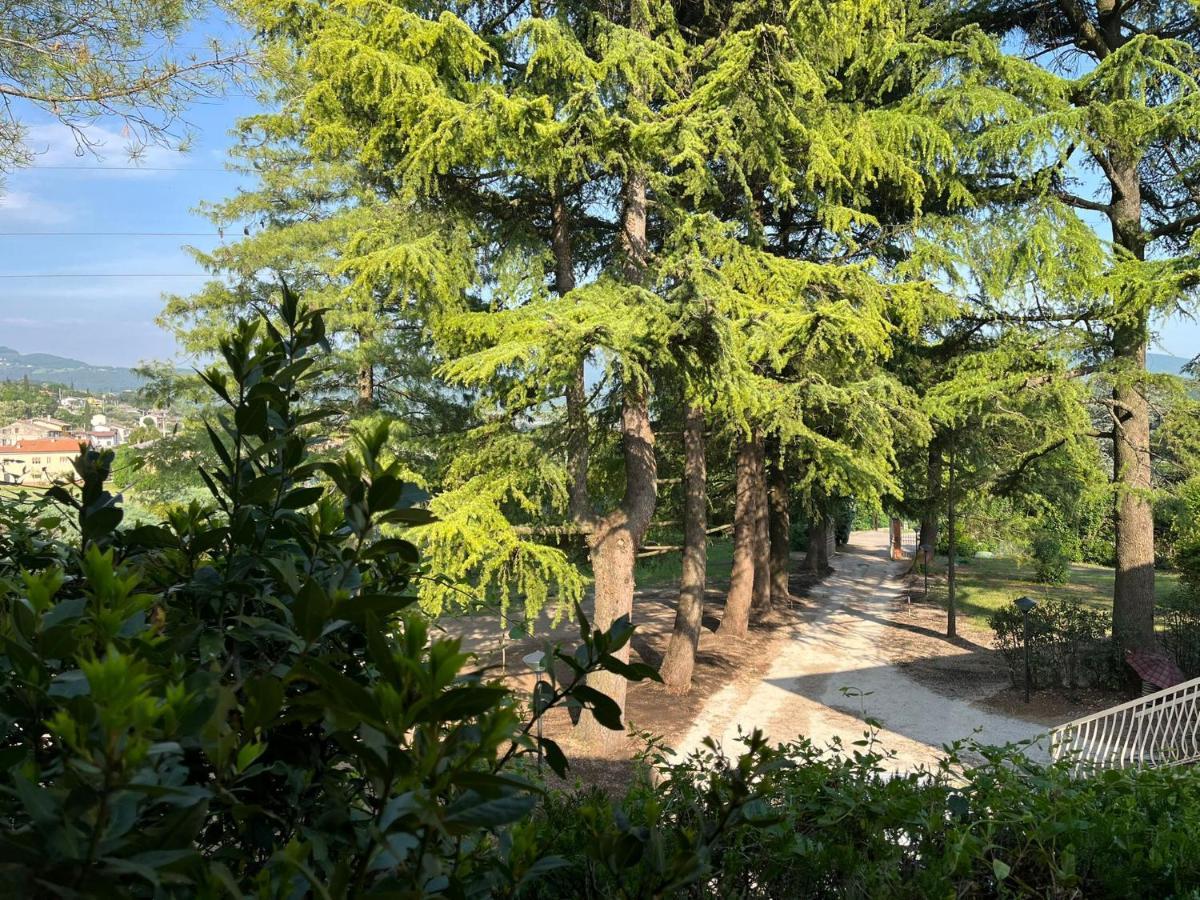 Secret Garden Egle Villa Caprino Veronese Eksteriør bilde